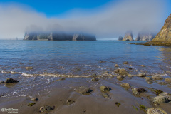 Rialto Beach Mist