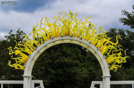 "Arch of Chihuly" Garden Sculpture