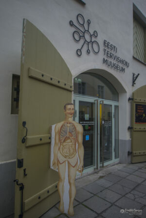 Tallinn's Anatomy on Display, Estonian Health Care Museum