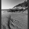 Acadia Sand Veins
