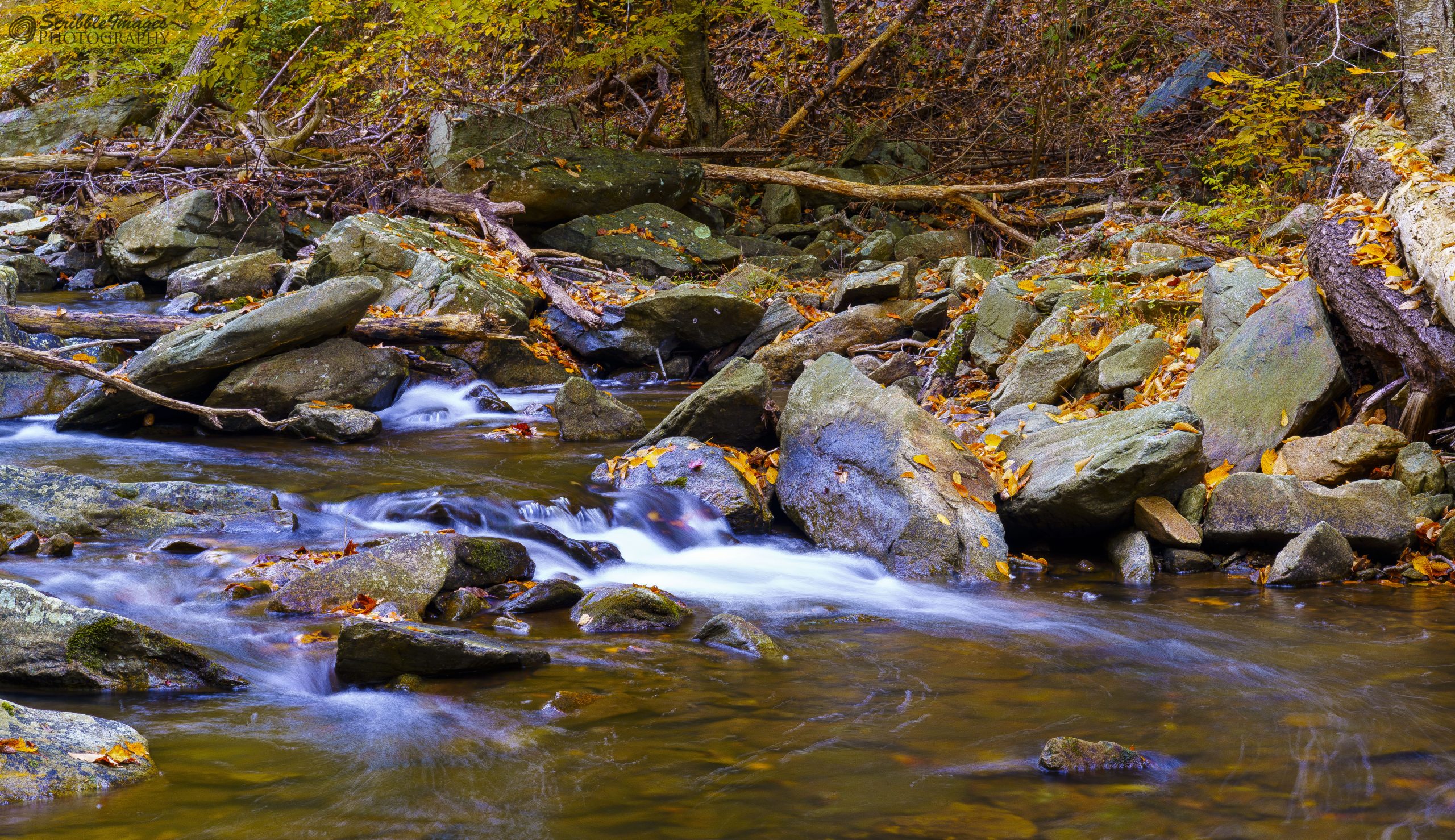 Big Hunting Creek, adjacent to Foxville Road, Catoctin Mountain Park