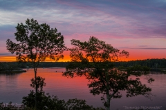 D75_6541 Sunrise Silhouette
