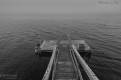 Floating Dock at Camp Forever