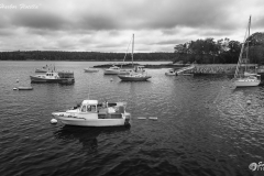 _D853083 Cundy's Harbor Flotilla-5