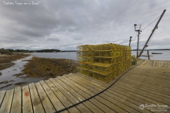_D853236 Lobster Traps-5