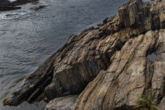 _D853506 Cliffside Flowers-5