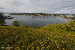 _D853560 Mackerel Cove Overlook-5