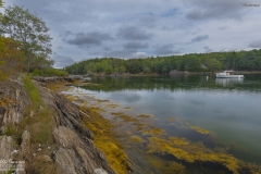 _D853564 Autumn Waters-5