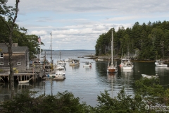 Back Cove Panorama