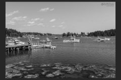 D859486-BW-Bordered-scaled