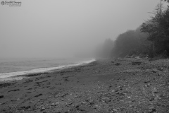 Rialto Beach Mystery