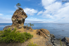 Formations on Route to Cape Flattery