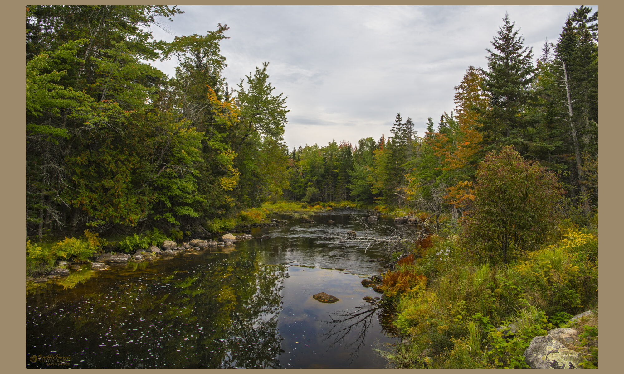 "East Machias River View"