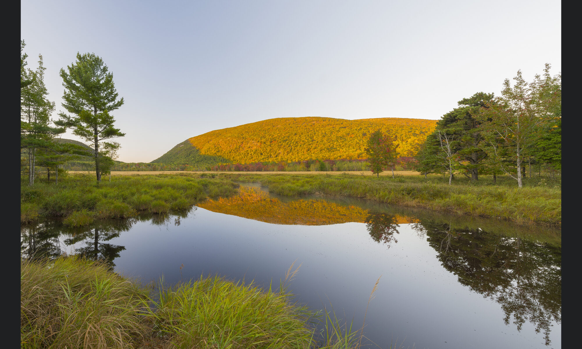 "Pond Reflections"