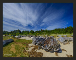 Beachwood on the Beach