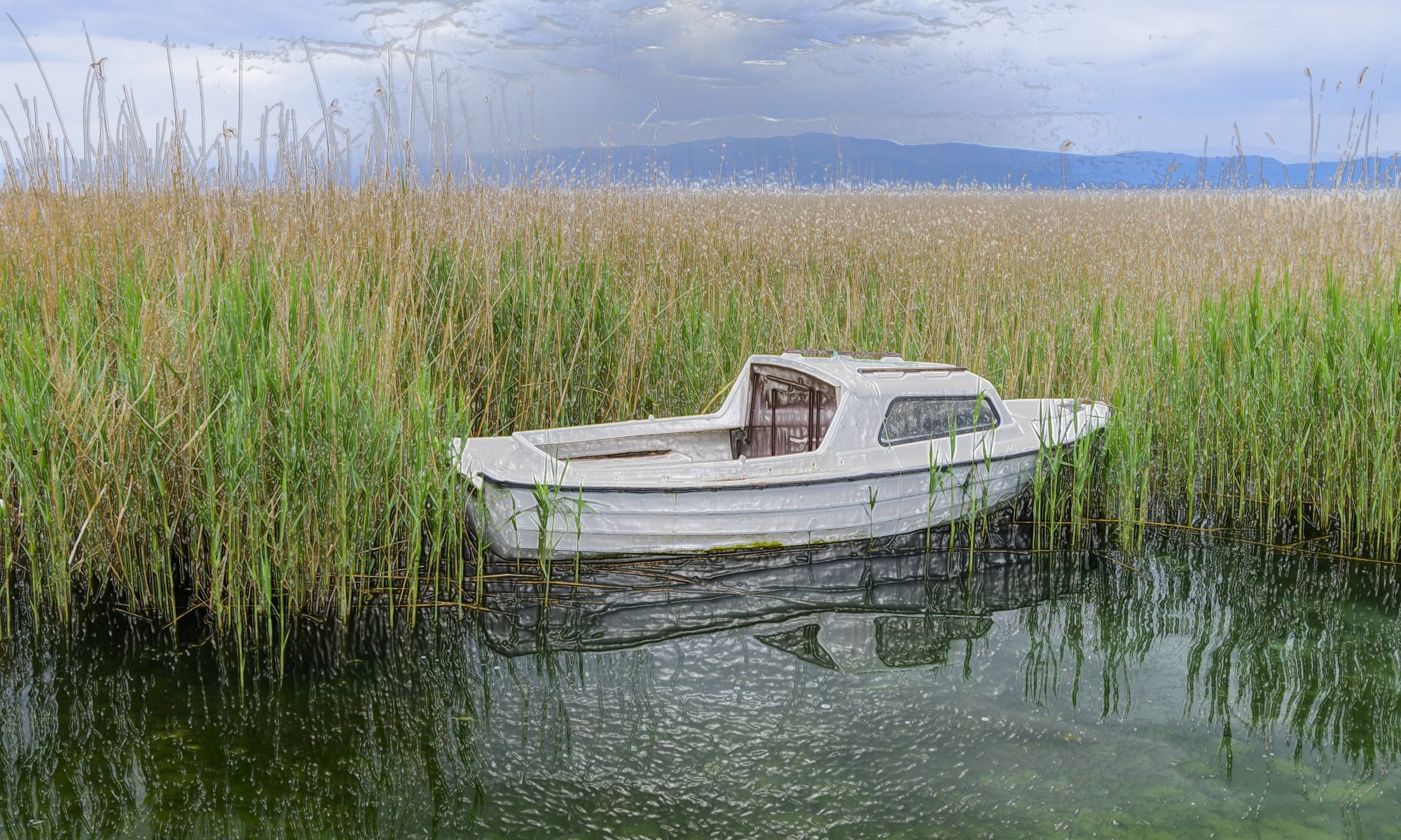 "Boat Amongst The Reeds"
